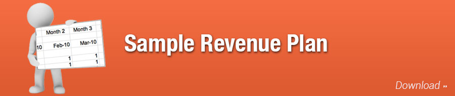 Sample Revenue Plan